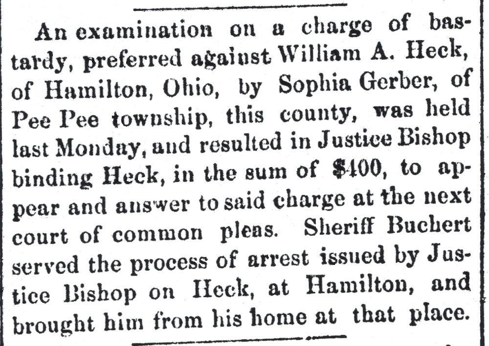 Pike Co. Republican 13 Jul 1876 - Buchert